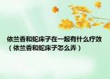 依蘭香和蛇床子在一起有什么療效（依蘭香和蛇床子怎么弄）