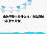 市政府秘書長什么樣（市政府秘書長什么級別）