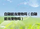 白鼬能當寵物嗎（白鼬能當寵物嗎）