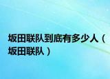 坂田聯(lián)隊到底有多少人（坂田聯(lián)隊）