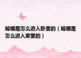 蟑螂是怎么進(jìn)入臥室的（蟑螂是怎么進(jìn)入家里的）
