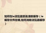 如何在ie瀏覽器里面清除緩存（ie緩存文件在哪,如何消除瀏覽器緩存）