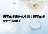 碧玉年華是什么生肖（碧玉年華是什么意思）