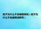 蚊子為什么不會被雨淋到（蚊子為什么不會被雨滴砸死）