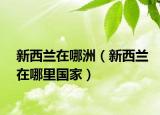 新西蘭在哪洲（新西蘭在哪里國(guó)家）