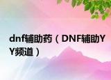 dnf輔助藥（DNF輔助YY頻道）