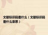文獻標(biāo)識碼是什么（文獻標(biāo)識碼是什么意思）