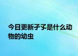 今日更新孑孓是什么動物的幼蟲