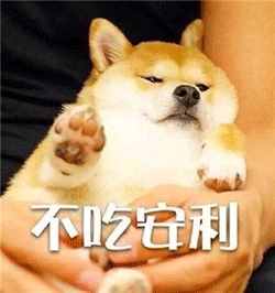 每日一詞：安利