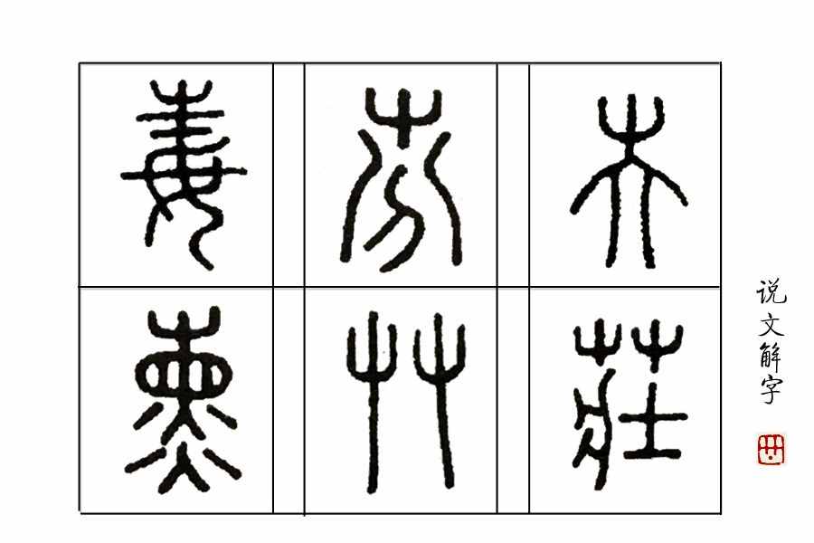 學(xué)漢字：你知道了“又雙叒叕”，那你知道“屮艸芔茻”嗎？