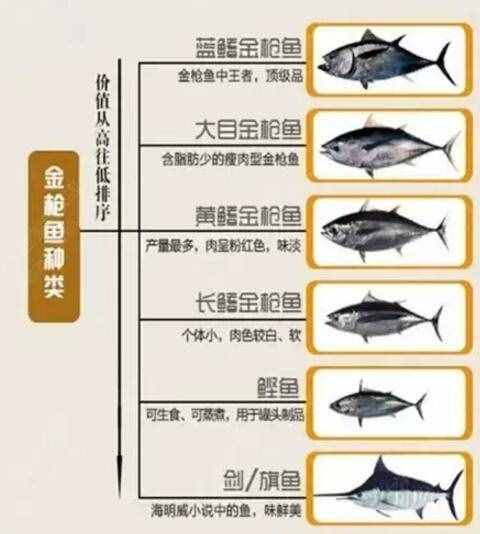 吃金槍魚最健康，四大家魚的常見烹飪做法