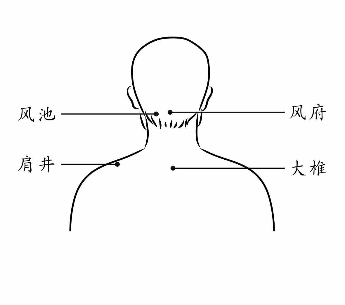 排毒養(yǎng)肝，養(yǎng)生第十一條經(jīng)脈：足少陽膽經(jīng)
