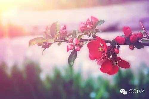 四月，值得你關(guān)注的日子
