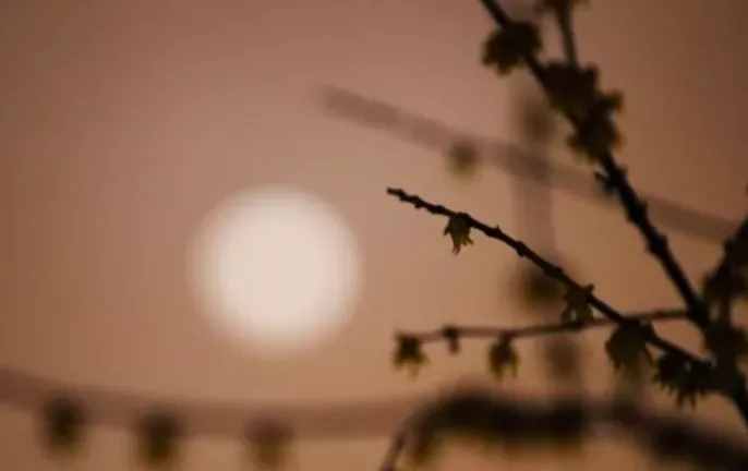 「詩(shī)詞鑒賞」八首月夜詩(shī)詞，月華初上，你在思念誰(shuí)？