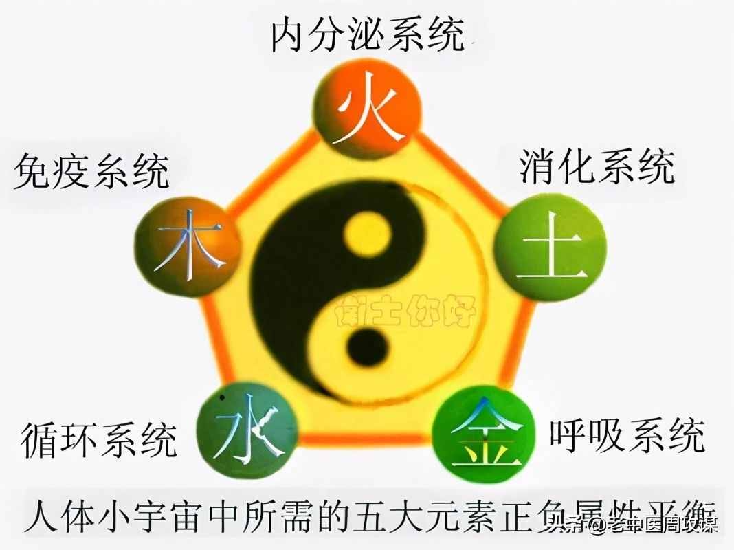 六經(jīng)辨證治法圖解