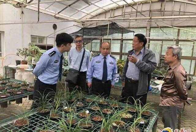蘭花的這30個(gè)品種，價(jià)值高還稀有，比玉石字畫(huà)都貴