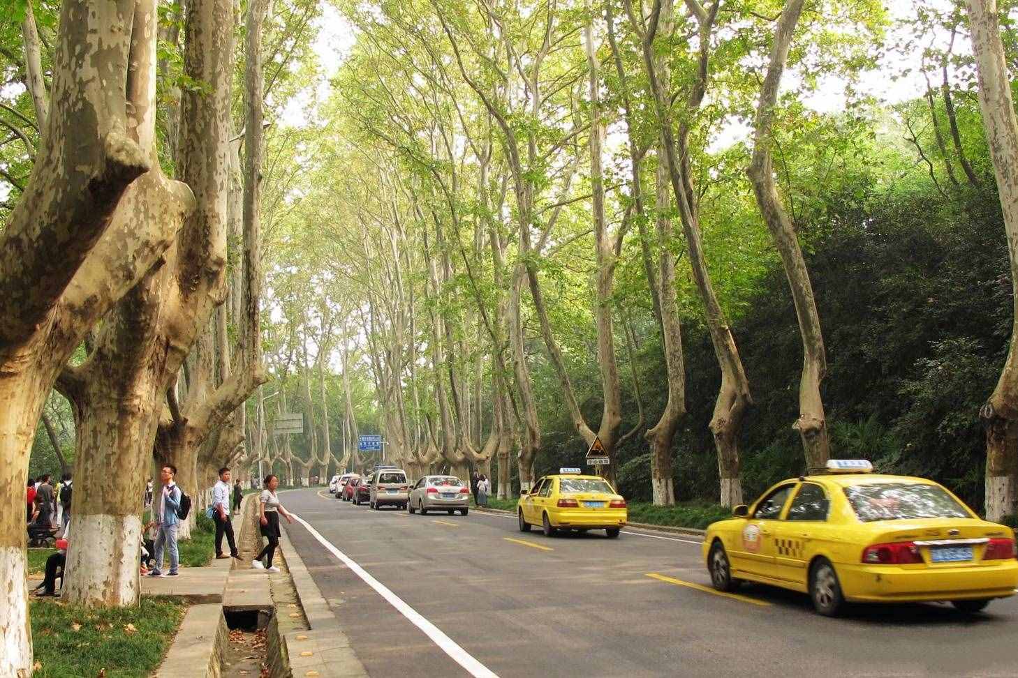 南京旅游別總?cè)シ蜃訌R，這5個(gè)景點(diǎn)更值得一去，你都去過嗎？