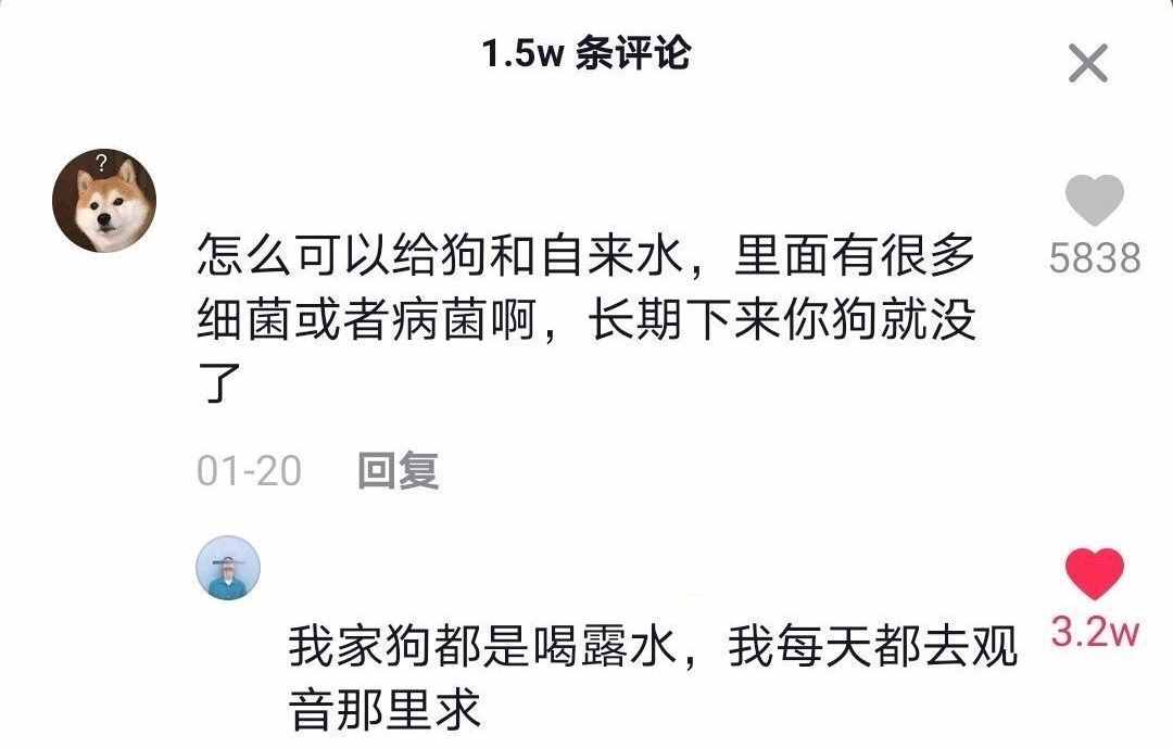 抖音神評(píng)論簡直絕了！差點(diǎn)笑死在床上