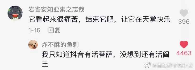 抖音神評(píng)論簡直絕了！差點(diǎn)笑死在床上