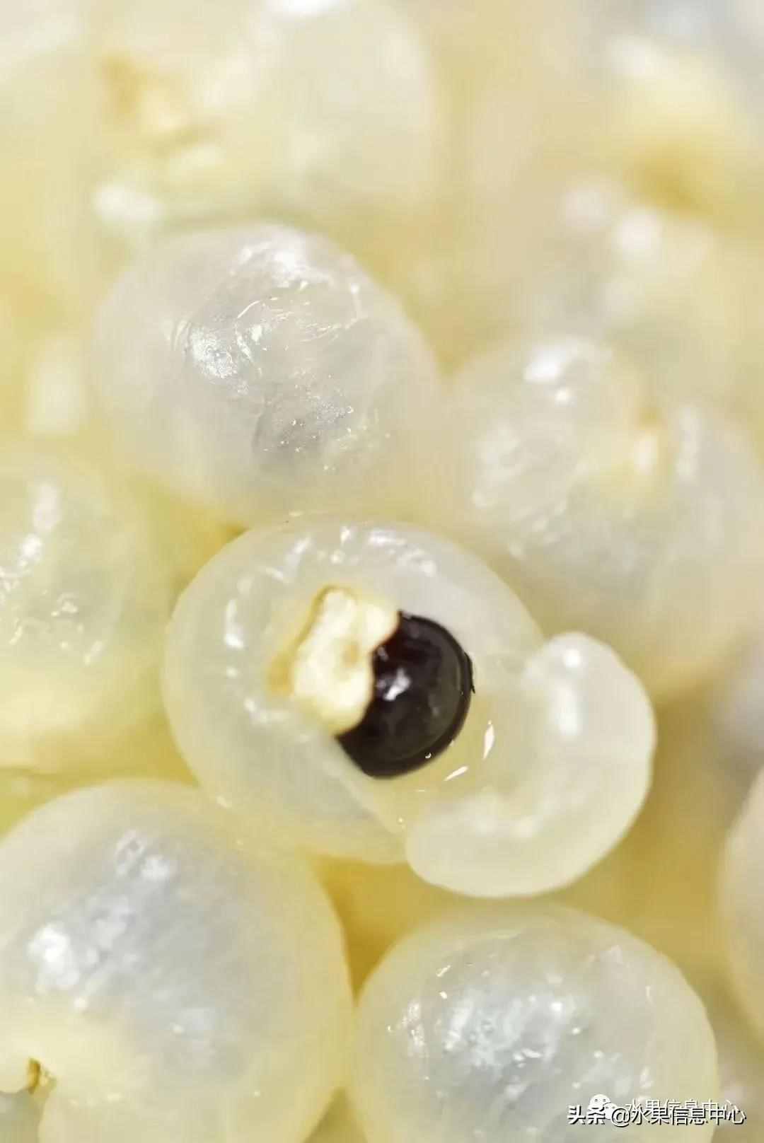 一份全國龍眼產地地圖及品種