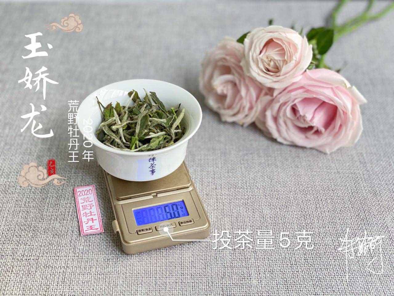 鐵觀音是綠茶？安吉白茶是白茶？喝茶這么多年，可不能再認錯了