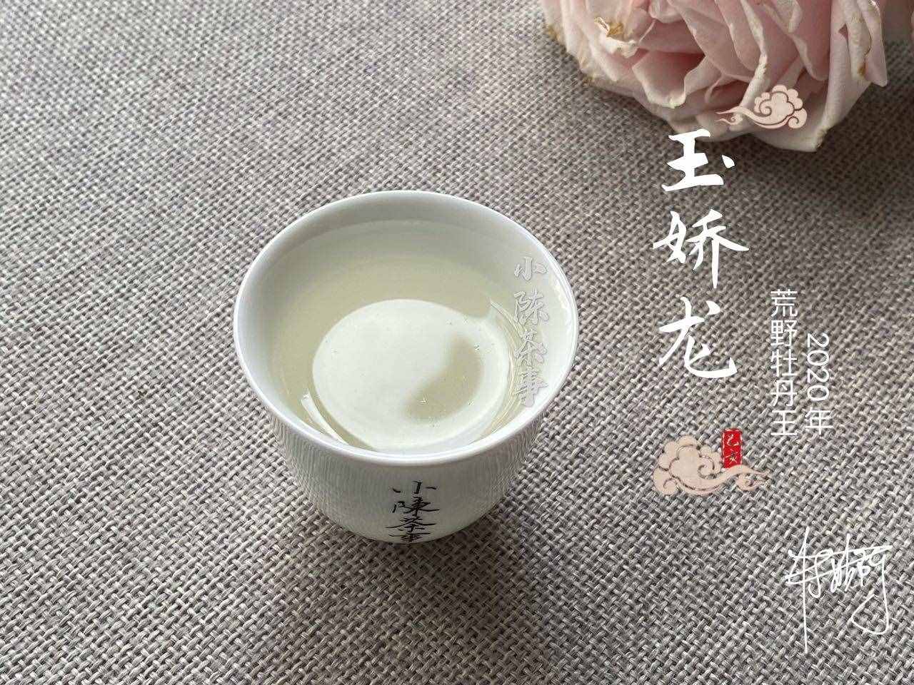 鐵觀音是綠茶？安吉白茶是白茶？喝茶這么多年，可不能再認錯了