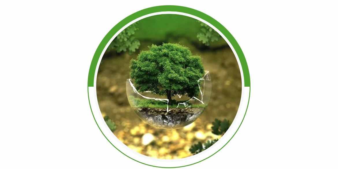 育亨賓樹(shù)皮怎么進(jìn)口 育亨賓樹(shù)皮進(jìn)口清關(guān)
