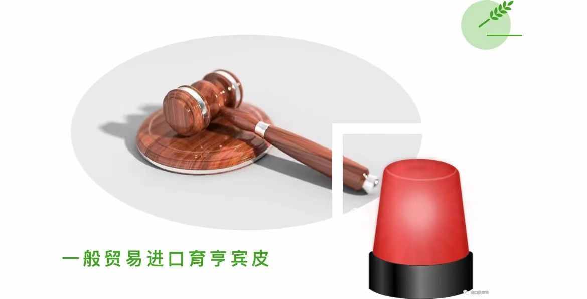 育亨賓樹(shù)皮怎么進(jìn)口 育亨賓樹(shù)皮進(jìn)口清關(guān)
