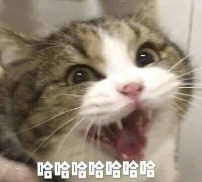 一鍵檢測(cè)單刪你的微信好友，百分百有效！