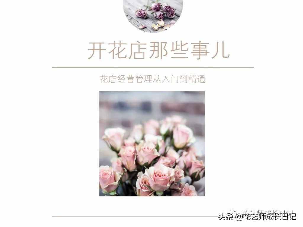 從1-9394朵玫瑰花語加圖片大全，送花，原來這么多講究！