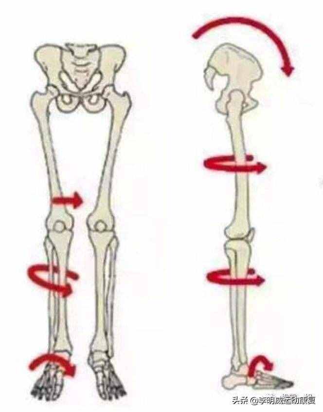 如何瘦小腿？原因和練習方案