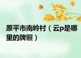 原平市南嶺村（云p是哪里的牌照）