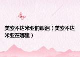 美索不達米亞的眼淚（美索不達米亞在哪里）