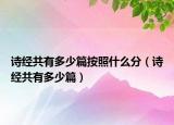 詩經共有多少篇按照什么分（詩經共有多少篇）