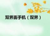 雙界面手機(jī)（雙界）