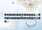 賈君鵬喊你回家吃飯原帖地址（賈君鵬你媽媽喊你回家吃飯是什么意思）