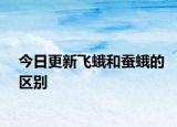 今日更新飛蛾和蠶蛾的區(qū)別