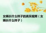 女媧長(zhǎng)什么樣子的真實(shí)視頻（女媧長(zhǎng)什么樣子）
