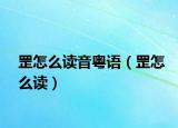 罡怎么讀音粵語(yǔ)（罡怎么讀）