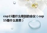 cop15是什么級(jí)別的會(huì)議（cop15是什么意思）