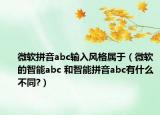 微軟拼音abc輸入風格屬于（微軟的智能abc 和智能拼音abc有什么不同?）