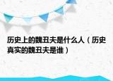 歷史上的魏丑夫是什么人（歷史真實(shí)的魏丑夫是誰）