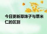 今日更新草珠子與薏米仁的區(qū)別