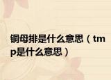 銅母排是什么意思（tmp是什么意思）