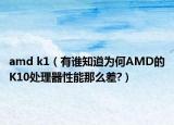 amd k1（有誰知道為何AMD的K10處理器性能那么差?）