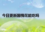 今日更新國槐花能吃嗎