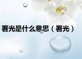 署光是什么意思（署光）