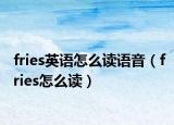 fries英語怎么讀語音（fries怎么讀）