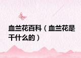 血蘭花百科（血蘭花是干什么的）