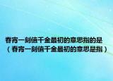春宵一刻值千金最初的意思指的是（春宵一刻值千金最初的意思是指）